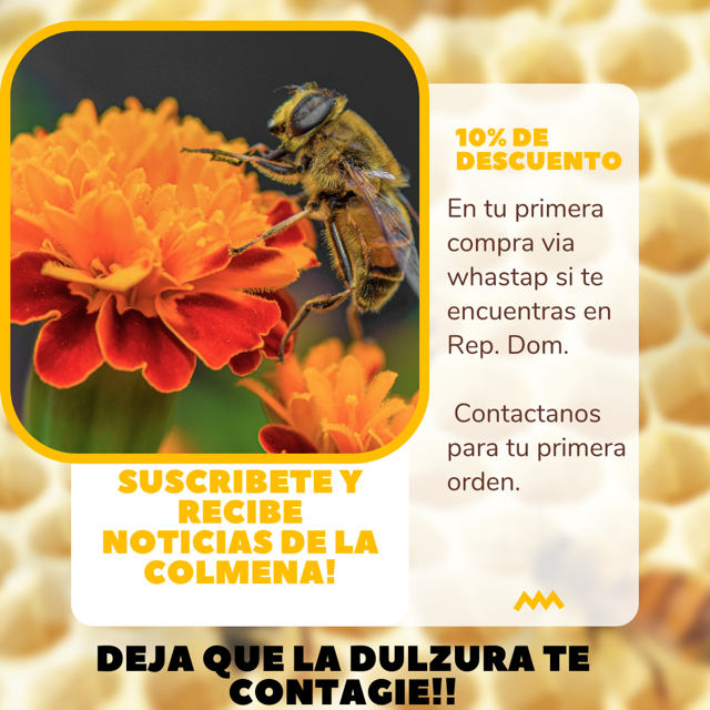 Imagen para suscripción